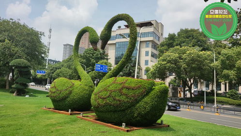 懷柔菊花造型,2022春節立體花壇,節日綠雕